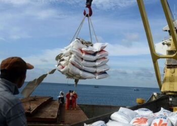 Pemerintah Hentikan Impor Beberapa Komoditas Pangan di 2025