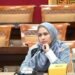 Anggota Komisi X DPR, Karmila Sari