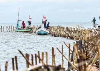 Tok! KKP Bongkar Pagar Laut Tangerang Hari Ini