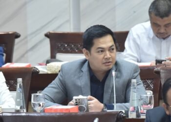 DPR: Perkuat Regulasi Kripto Lindungi Investor Muda