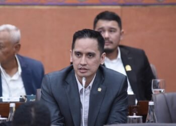 Anggota Komisi VI DPR Firnando Hadityo Ganinduto