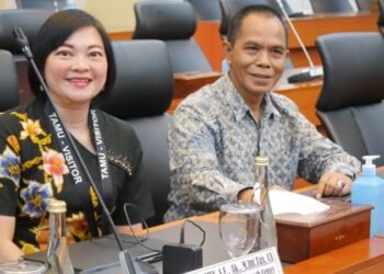 Ekonom Ingatkan Pemerintah Hati-hati Soal Kebijakan Pajak di 2025