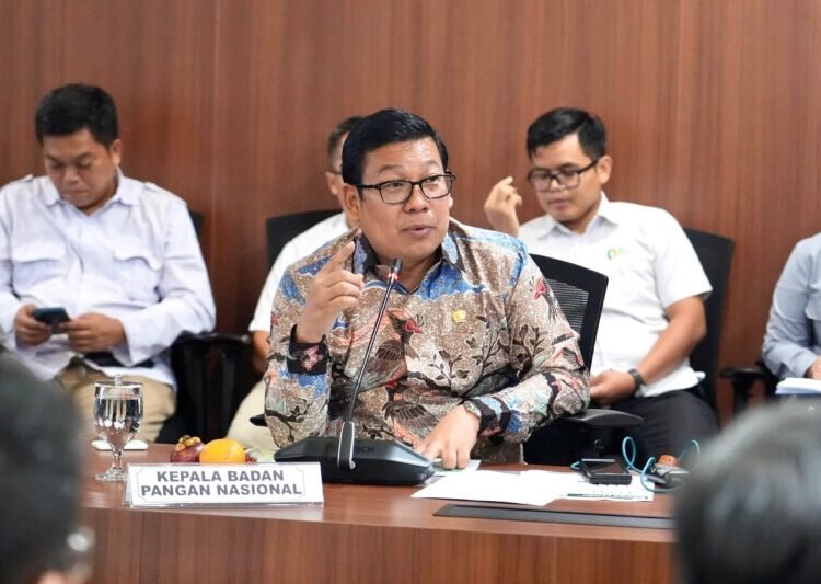Kepala Badan Pangan Nasional/National Food Agency (NFA) Arief Prasetyo Adi