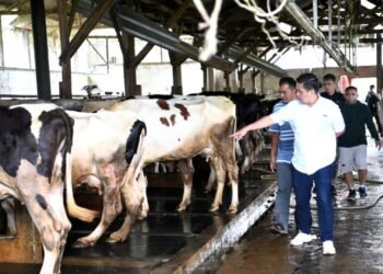 Warga Garut Sambut Kopdes Merah Putih Dengan Gelora Semangat dan Optimisme