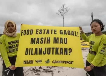 MITI: Program Food Estate Harus Libatkan Petani