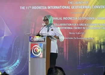 Kementerian ESDM Ingin Jadikan Flores Sebagai Pulau Panas Bumi