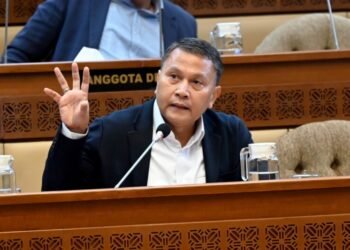 BKSAP Dorong Penguatan Institusi dan Solidaritas Dunia Islam Di PUIC Ke-19