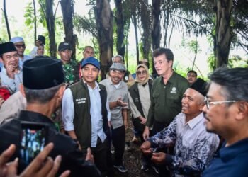 Menhut: Aren Untuk Swasembada Energi, Jadi Program Favorite Prabowo