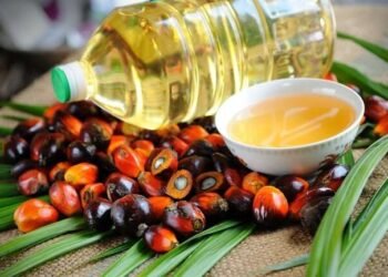 Hambatan Dagang Indonesia Sangat Kecil Dibanding Negara Maju