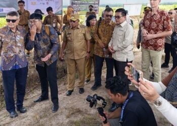 Panel Barus: Koperasi Sawit Miliki Pabrik CPO Impian Presiden Prabowo