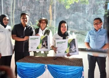 Kelahiran Anak Harimau Sumatera di TMSBK Bukittinggi, Harapan Baru Sepesies Langka Indonesia