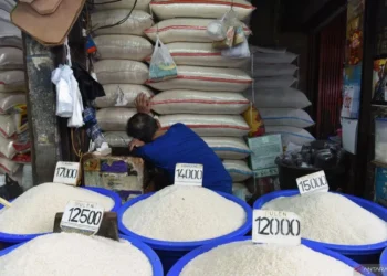 YLKI: Tindak Tegas Kecurangan Beras Rugikan Konsumen Rp99,35 Triliun