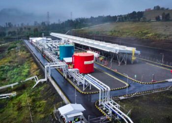 Prabowo: Cadangan Minyak dan Gas Indonesia Besar, Tapi Masa Depan Kita Energi Terbarukan