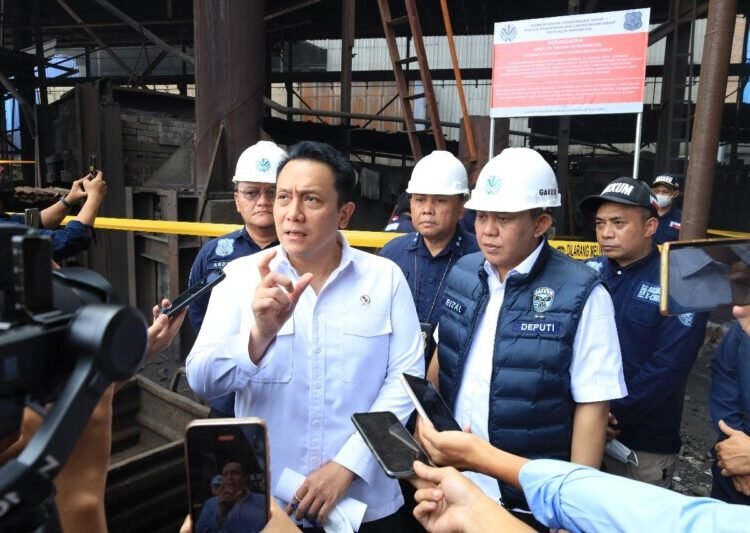 Wakil Menteri KLH/Wakil Kepala BPLH, Diaz Hendropriyono