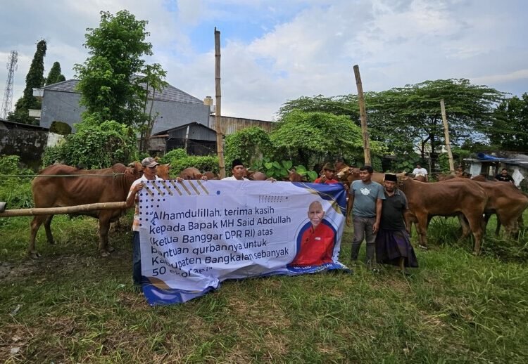 DPD PDI Perjuangan Jawa Timur (Jatim),  telah menyalurkan 403 ekor sapi pada hari raya  Idhul Adha 1446 Hijriah.