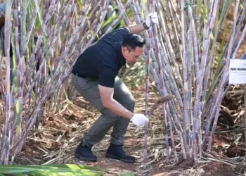 Kunker ke Melolo, AHY: Pembangunan Infrastruktur Dasar untuk Sinergi Industri dan Transmigrasi