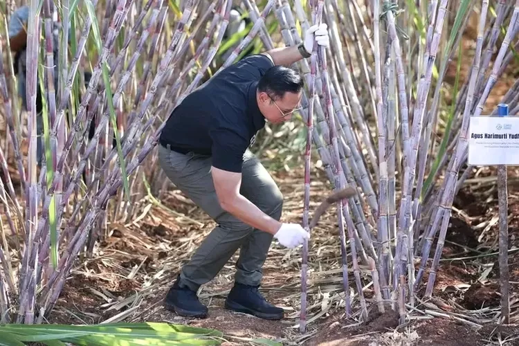 Menteri Koordinator Bidang Infrastruktur dan Pembangunan Kewilayahan, Agus Harimurti Yudhoyono (AHY)