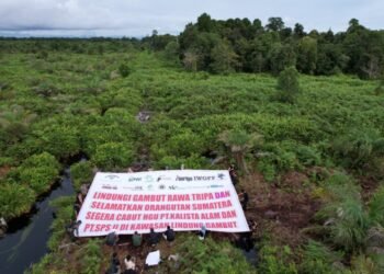 Koalisi Masyarakat Sipil: UU Kehutanan Gagal Memerdekakan Rakyat