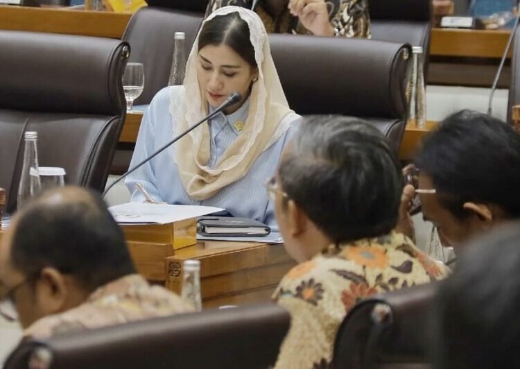 Anggota DPR RI Komisi VII, Novita Hardini,