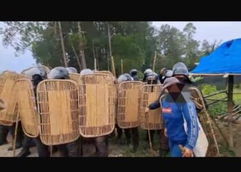 Kronologis Penyerangan Pekerja PT. TPL ke Masyarakat Adat Sihaporas