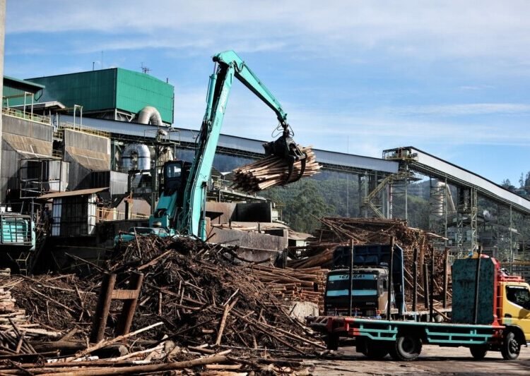 Desakan Tutup PT Toba Pulp Lestari kian meluas/photo dok kompas.id