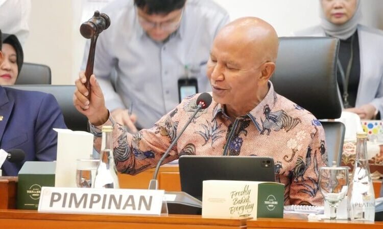 Said Abdullah
Ketua DPP PDI Perjuangan