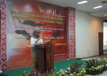 Ajak Kontribusi Nyata Diaspora, Tagar #BetaNTT Diluncurkan