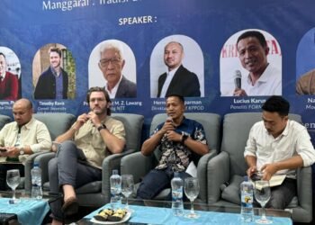 Formappi Soroti Mandulnya Peran DPRD Dalam Pembangunan di Manggarai