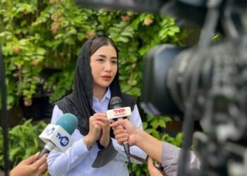 Novita PDIP Minta Pemerintah Perkuat PT Dirgantara Indonesia