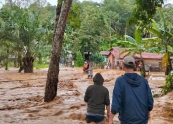 Kriminolog: Negara Harus Evaluasi Praktik Pengelolaan Tambang dan Deforestasi