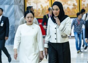 Puan Tegaskan DPR Kawal Isu Reformasi Bea Cukai