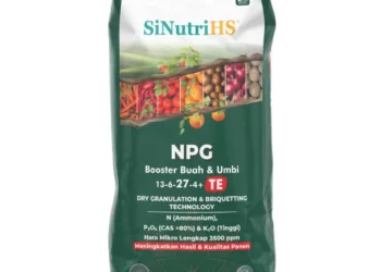 Nusa Palapa Gemilang (NPGF) Tarik Kredit Rp54,02 Miliar dari Bank Sinarmas